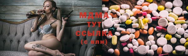 шишки Алексин