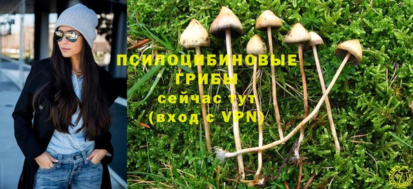 apvp Арсеньев