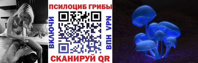 Псилоцибиновые грибы мухоморы  купить   Строитель 